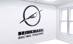 logodesign-taubenzucht design agentur-bochum